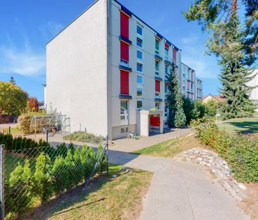 2.5 Zimmer, 51 m², 3. Stock - Photo 6