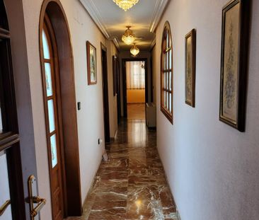 Apartments in San Vicente del Raspeig ID ALQ0263Apartment in San Vi... - Photo 1