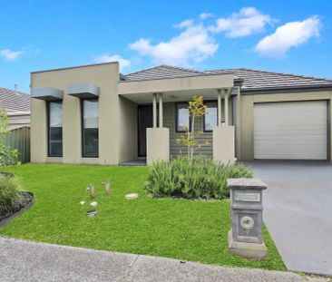 “Close to Everything” - Photo 5