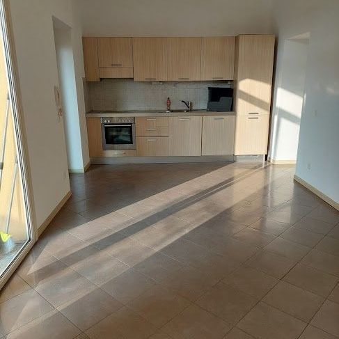 Affittasi appartamento 3.5 locali - Photo 1