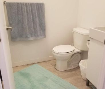 Studio - Montréal - $1,155 /mo - Photo 4