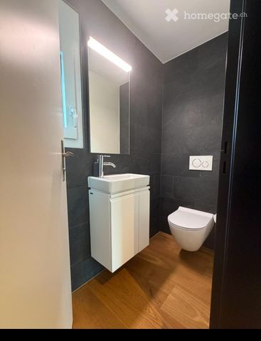 Moderne 2.5-Zimmer Wohnung mit gedecktem Balkon, Hobbyraum und PP mit E-Mobilität in Hölstein/BL - Photo 3