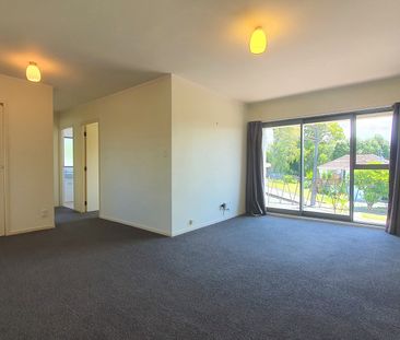 Spacious One Bedroom Apartment - Photo 3