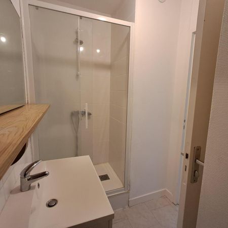 Location Appartement 1 pièce 18m² NANTES 44000 - Photo 4