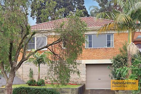 51 Banks Road, Earlwood, NSW 2206 - Photo 4