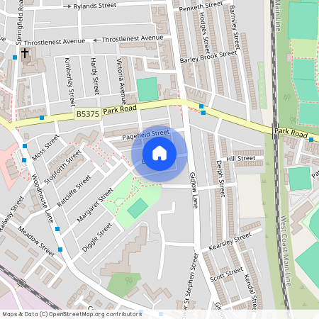 Birch Street, Springfield, Wigan, WN6 7EB