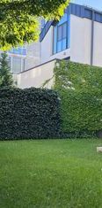 Vilă P+2 de închiriat | Jolie Village – Iancu Nicolae | 3.000 €/lună - Photo 1