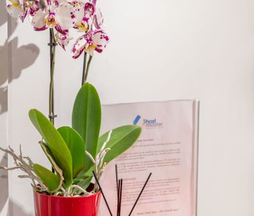 Ενοικίαση κατοικίας, 26 τ.μ., Αθήνα, 500 € - Photo 6