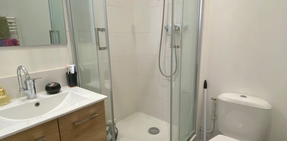 Location Appartement 1 pièce 17m² LYON 3ème - Photo 2