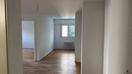 Renovated 3.5-room apartment on the 1st floor - Photo 5