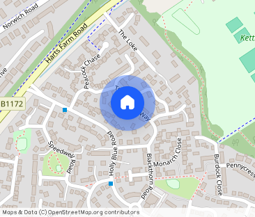 Tortoiseshell Way, WYMONDHAM - Photo 1
