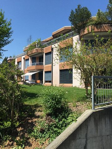 Attraktive 4.5- Zimmerwohnung im Erdgeschoss - Photo 2