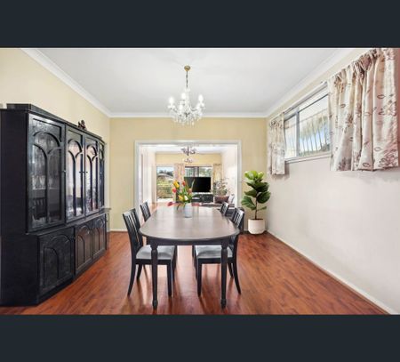 43 Nicholson Street, Burwood, NSW 2134 - Photo 4