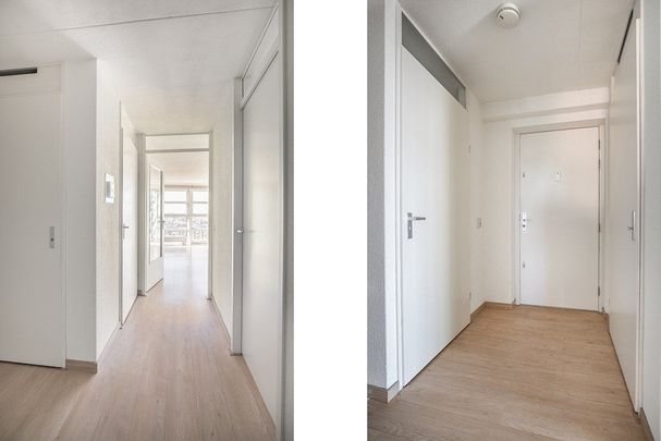 Te huur: Appartement Wijnbrugstraat in Rotterdam - Foto 1