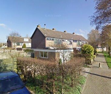 House Sint Maarten - Elzensingel - Photo 1