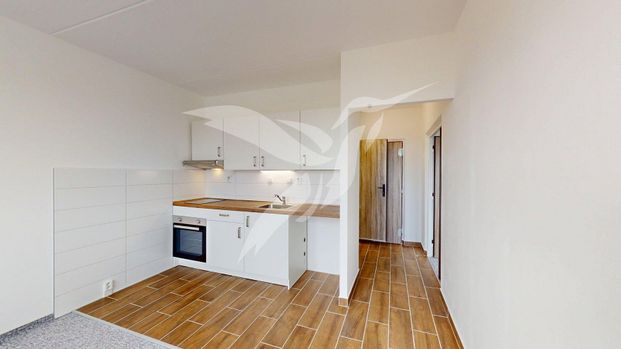 Pronájem bytu 1+1 39 m² - Fotografie 1