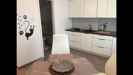 (Symbol 353913) MIESZKANIE na WYNAJEMSzczecin, Dąbie Duża, ładna kawalerka z balkonem - Zdjęcie 2