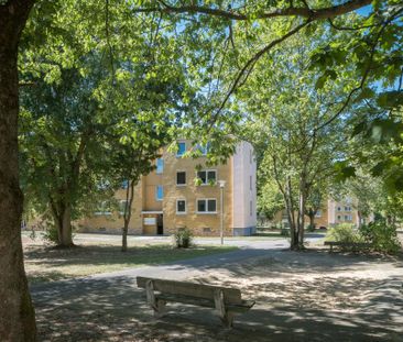 3-Zimmer-Wohnung mit Balkon in Wolfsburg-Vorsfelde mieten - Photo 4