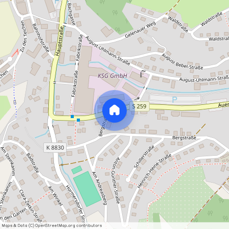 Auerbacher Str. 12, 09390 Sachsen - Gornsdorf
