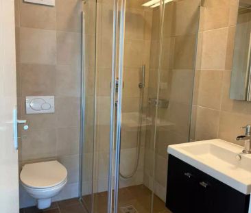 Chardonne - chemin de la Maison-Jean 2 - magnifique appartement de ... - Foto 1