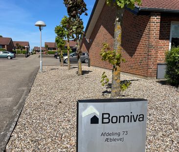 Æblevej 20 A, 7870, Roslev - Foto 3