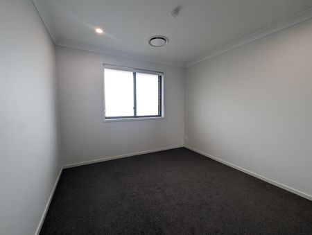 66 Great Sandy Circuit, Pimpama QLD 4209 - House For Rent | Domain - Photo 5