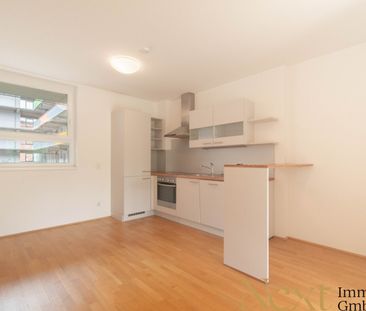 2,5-Zimmer-Wohnung mit sonnigem Balkon und angenehmem Wohnambiente ... - Photo 1