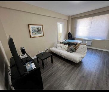 Super appart, rénové et meublé, proche de Mc Gill U - Photo 4