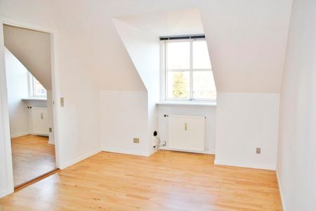 Dumpen - Foto 4