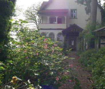 Fein renovierte 3-Zimmer-Dachwohnung über Eschlikon TG, idyllisch g... - Photo 3