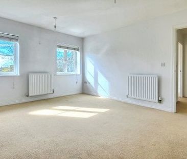 Siric House, Circular Road South, Col... - Photo 5