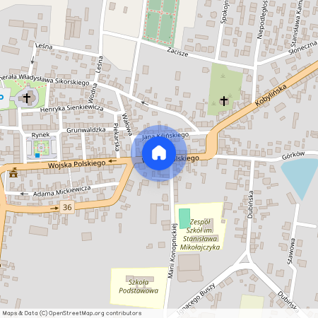 Miejska Górka, Miejska Górka, rawicki, wielkopolskie