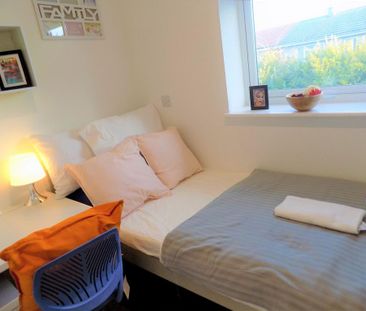 1 bedroom house to rent - Photo 5