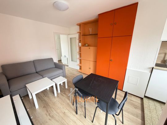 Magnifique 1 pièce meublée 22m² à la Krutenau - Photo 1