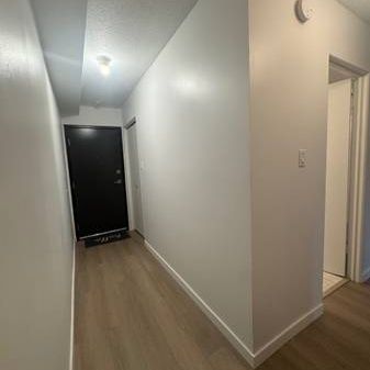 2 Beds 1 Bath - Apartment - Photo 3