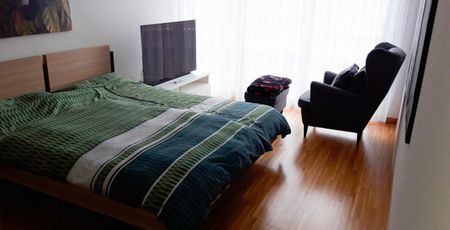 Exklusive Attika-Wohnung mit riesiger Terrasse an idyllischer Lage - Photo 3