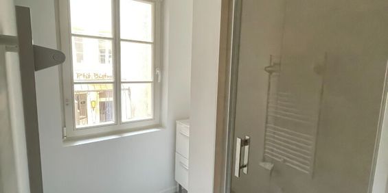 Location Appartement 1 pièce 25m² - Photo 3