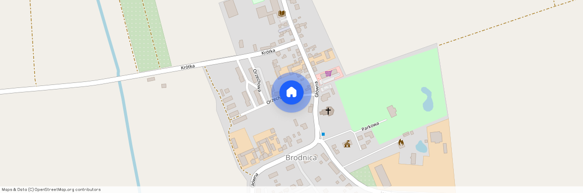 Brodnica, Brodnica, śremski, wielkopolskie