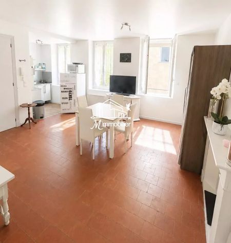 Location Appartement 1 pièce 26m² NARBONNE 11100 - Photo 2