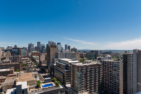 Condo for rent, Montréal (Ville-Marie) - Photo 2