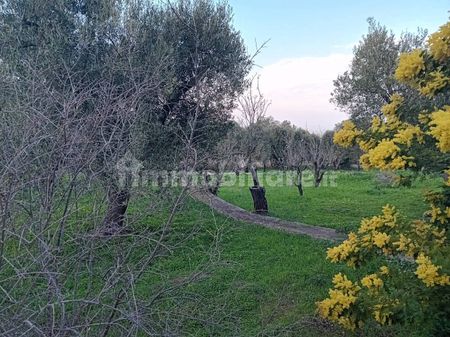 Villa unifamiliare corso Giuseppe Mazzini, Via Ludovico, Corso Umberto I, Vittorio Emanuele, Ostuni - Photo 2