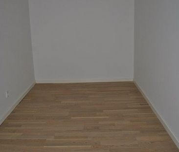 Gravene - Photo 5