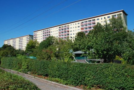 2-Raum-Wohnung mit Blick ins Grüne - Photo 4