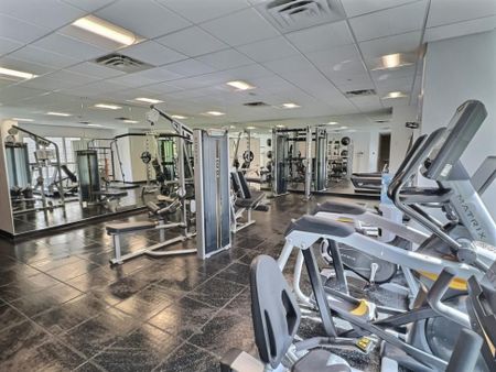 Appartement à louer - Montréal (Ville-Marie) (Mille Carré Doré) - Photo 2