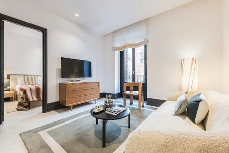 Calle de Apodaca, Madrid, Community of Madrid 28004 - Photo 4