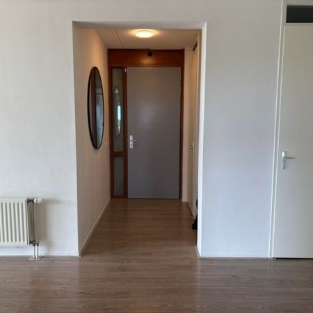 Rijngraafstraat - Foto 3