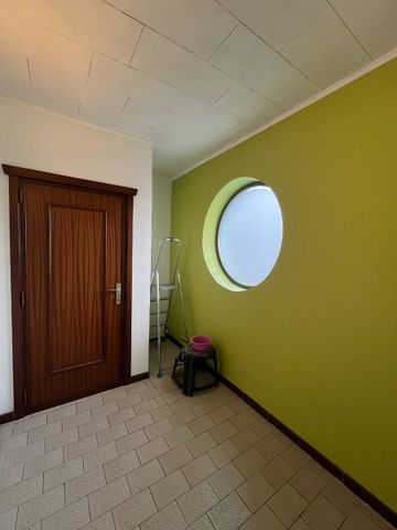 Appartement te huur met 1 slaapkamer in Kruisem - Foto 3