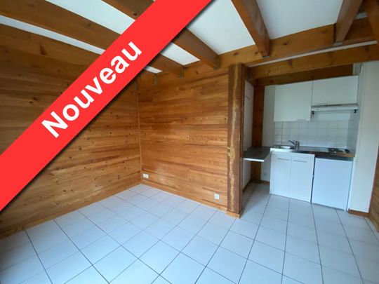 Location Appartement 2 pièces 25m² TALENCE 33400 - Photo 1