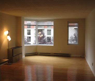 Appartement à louer à Montréal (Ville-Marie) - Photo 3