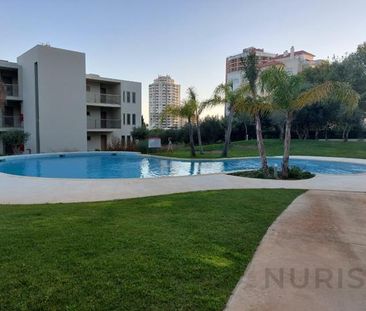 Apartamento T2 - Photo 4